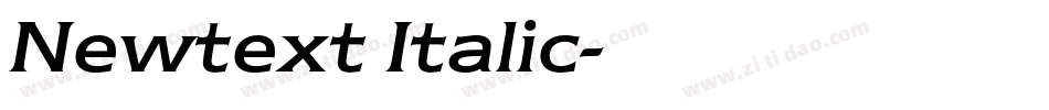Newtext Italic字体转换
